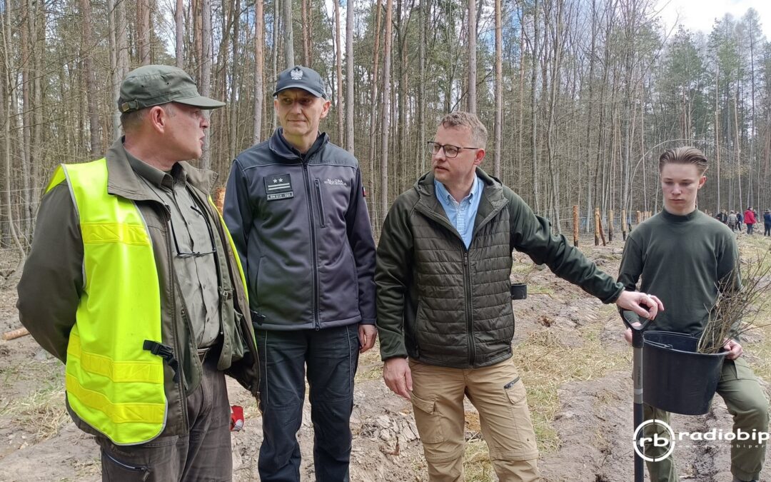 Minister Romanowski i nadleśniczy Bylina sadzili las im. Jana Pawła II 